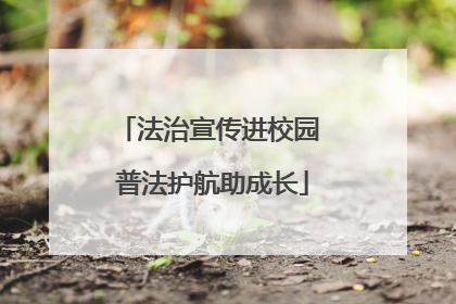 法治宣传进校园 普法护航助成长
